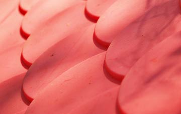 Killead plastic roof costs