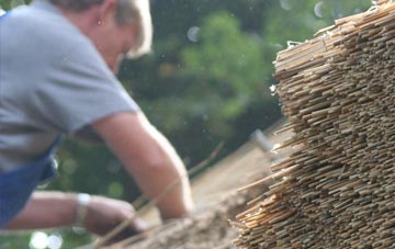 professional Killead thatchers