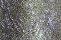 Killead fibreglass roof work